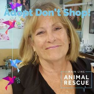 Meet your Posher, Cherie meredith